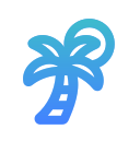 palmera icon