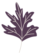 cereza icon