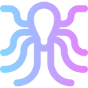 Pulpo