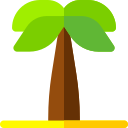 Palmera icon