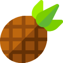 Piña icon