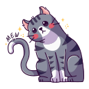 gatito icon