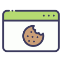 cookies del sitio web icon