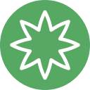 estrella icon