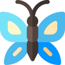 Mariposa icon