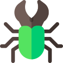 Cucaracha icon