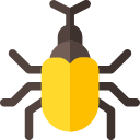 Cucaracha icon