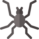 Araña icon