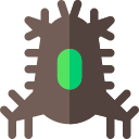 Oruga icon