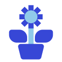 gerbera icon