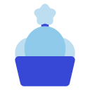 kalanchoe icon