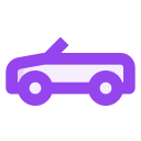 coches icon