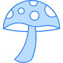 fungos 