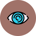 ojo icon