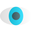 ojo icon