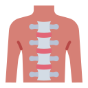 columna vertebral icon