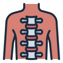 columna vertebral icon