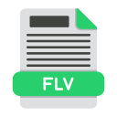 flv icon