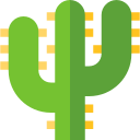 Cactus icon