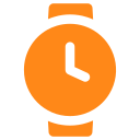 reloj icon