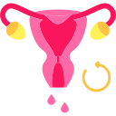 ciclo menstrual icon