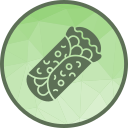 burrito icon