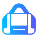 bolsa icon