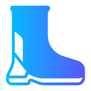 bota icon