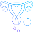 ciclo menstrual icon