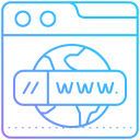 dominio web icon