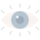 visión icon