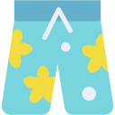 bermudas icon