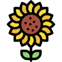 girasol icon