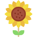 girasol icon