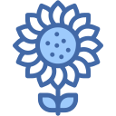 girasol icon