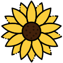 girasol icon