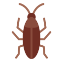 cucaracha icon