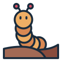 oruga icon