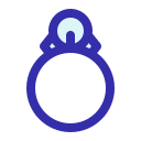 anillo icon