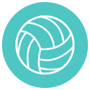 voleibol icon