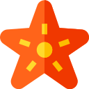 Estrella de mar icon