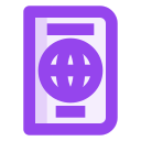 visa icon