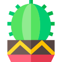 Cactus icon