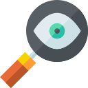 Observación icon