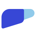 fígado 