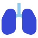 pulmones icon