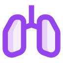 pulmones icon