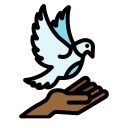 libertad icon