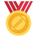 medalla icon