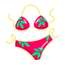 bikini icon